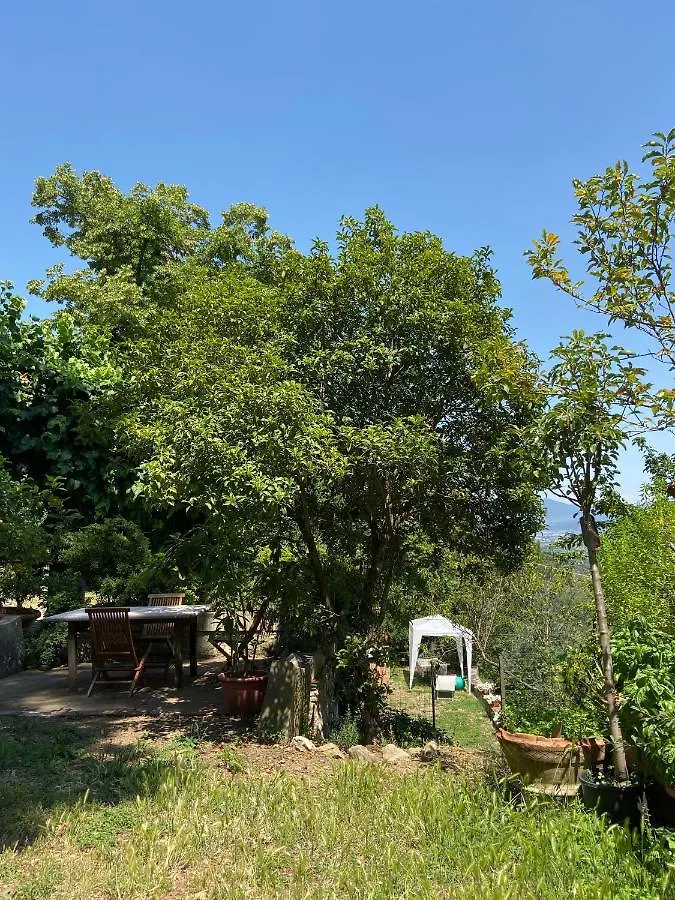 B&B La Rocca Carmignano Nocleg ze śniadaniem