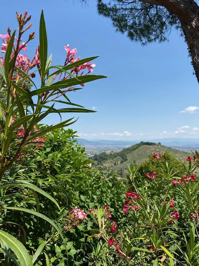 B&B La Rocca Carmignano Italy