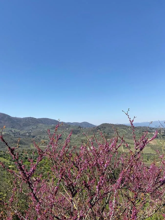 B&B La Rocca Carmignano 0*,  Italy