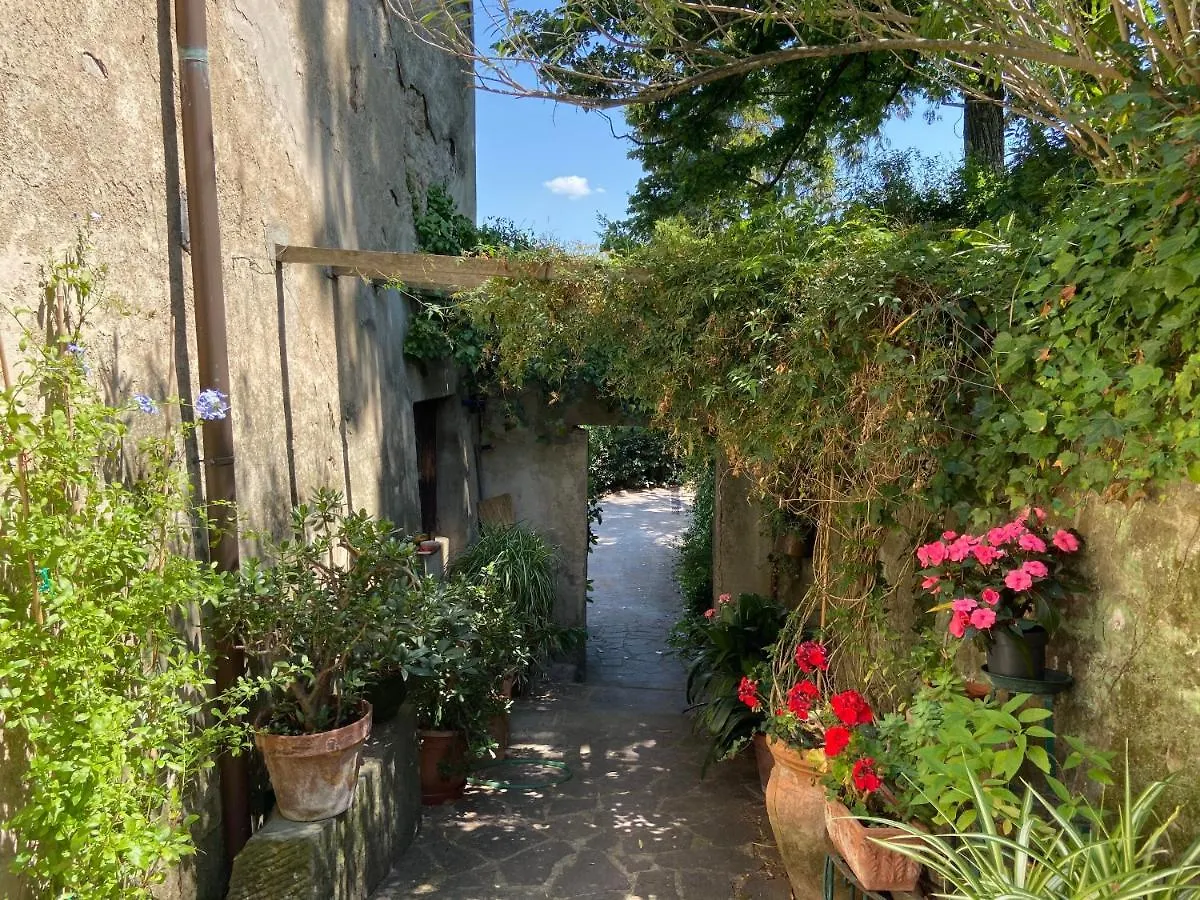 B&B La Rocca Carmignano 0*,