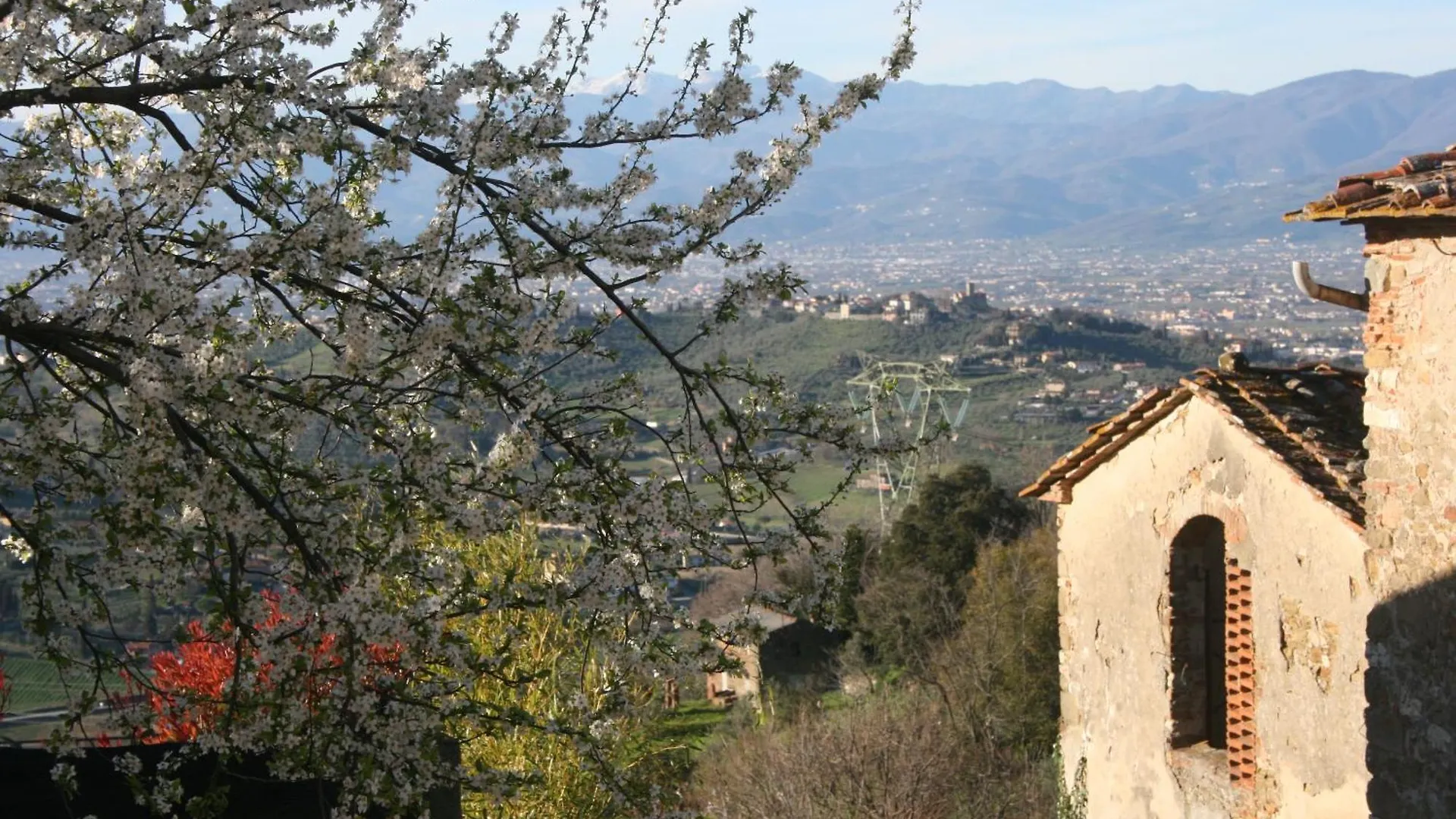 B&B La Rocca Carmignano 0*,  Italy